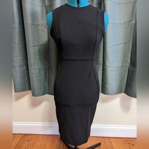 Fitted Calvin Klein Dress